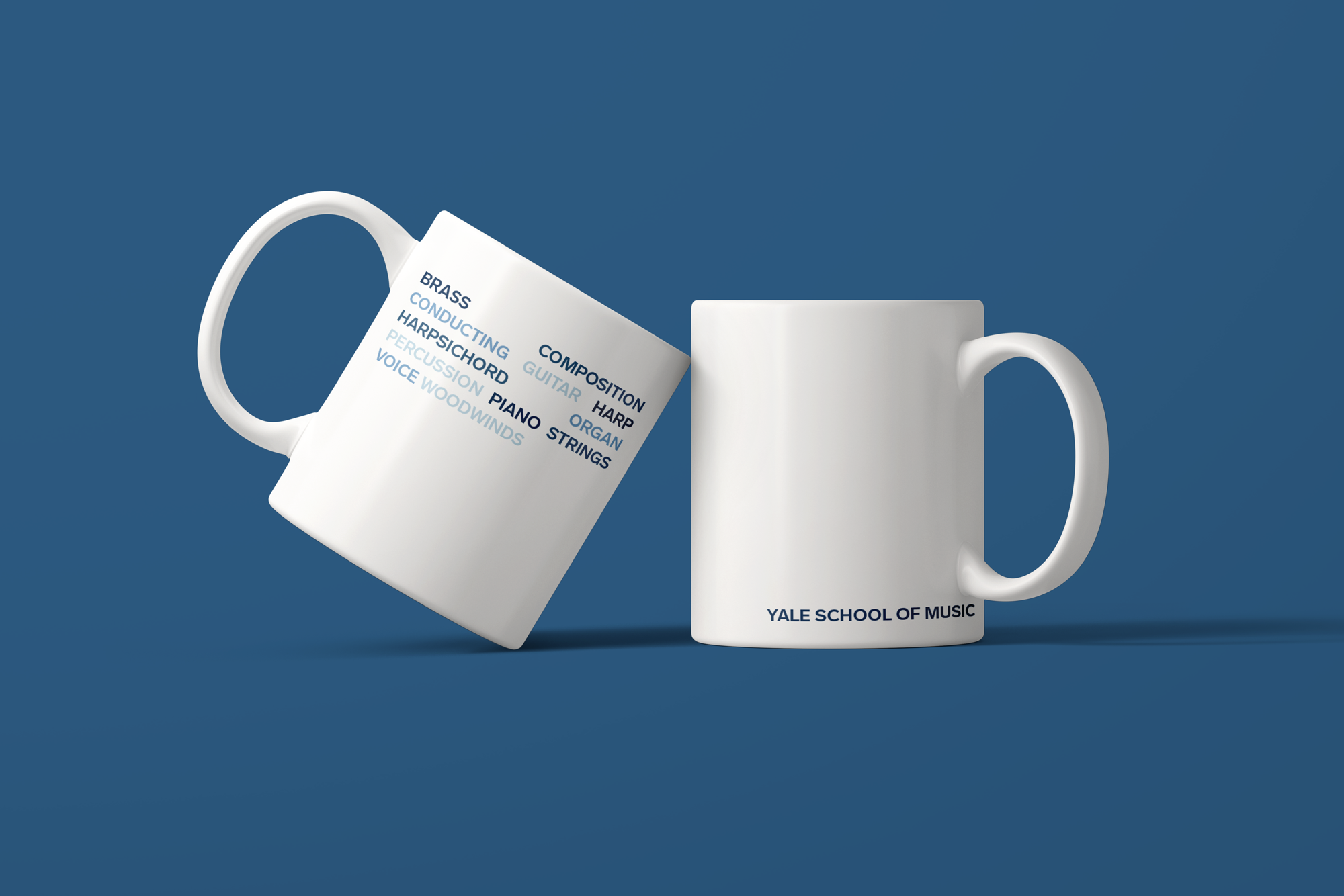 YSM-Coffee-Mug-Area-of-Studies-v2